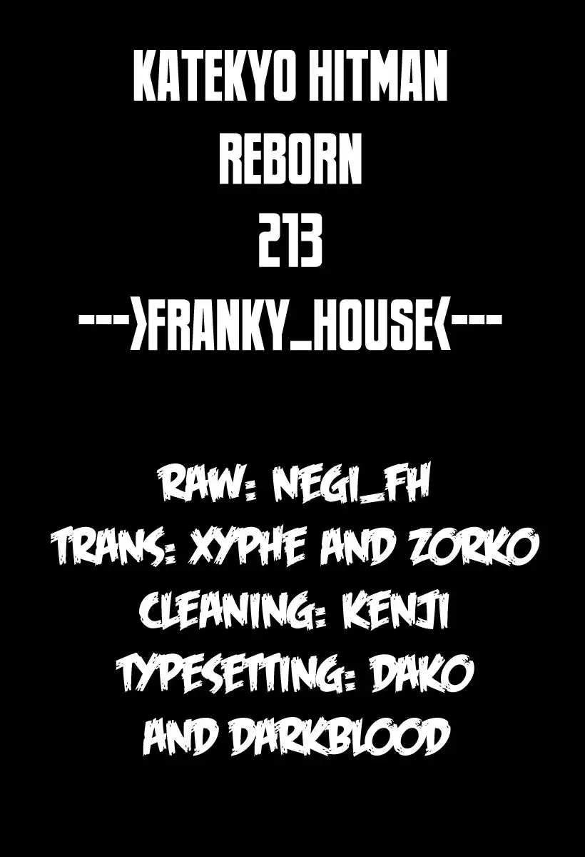 Katekyo Hitman Reborn! Chapter 213 17